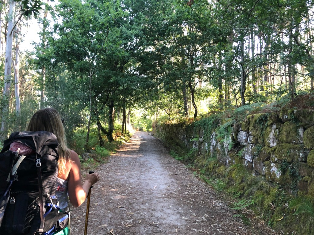 Walking a Codepdendent Camino – Promise&nbsp;#7